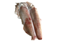 Mực ống Lý Sơn size 2